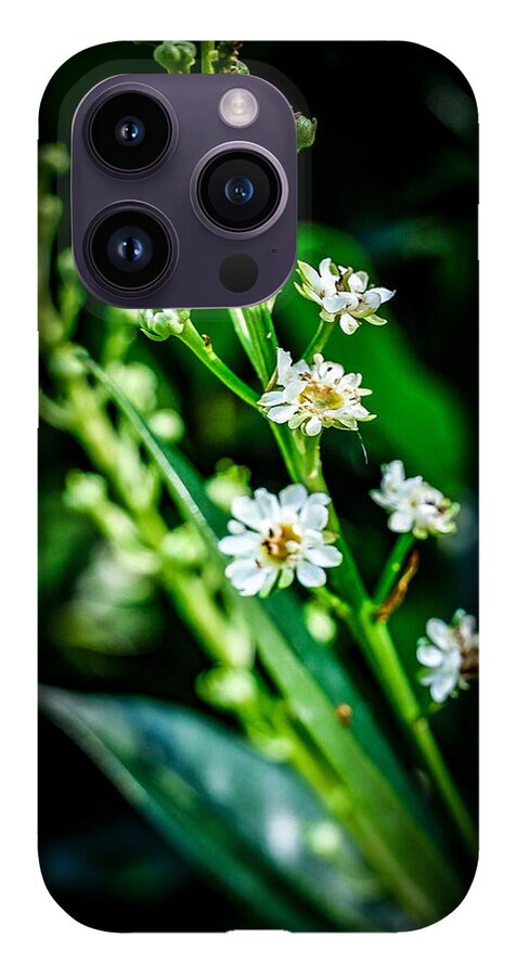 Flowers  3 - Phone Case