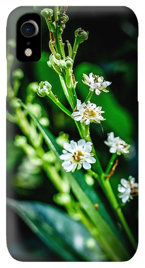Flowers  3 - Phone Case