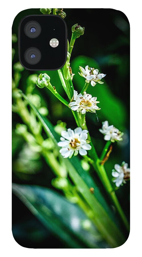 Flowers  3 - Phone Case