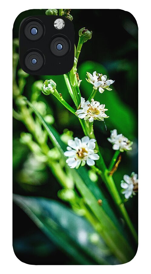 Flowers  3 - Phone Case
