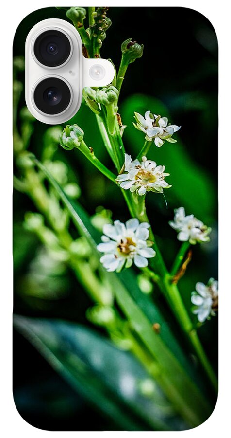 Flowers  3 - Phone Case