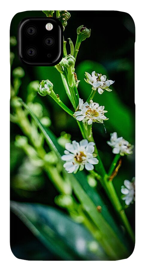 Flowers  3 - Phone Case
