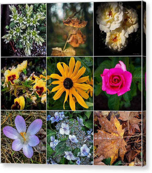 Flowers 5 - Canvas Print