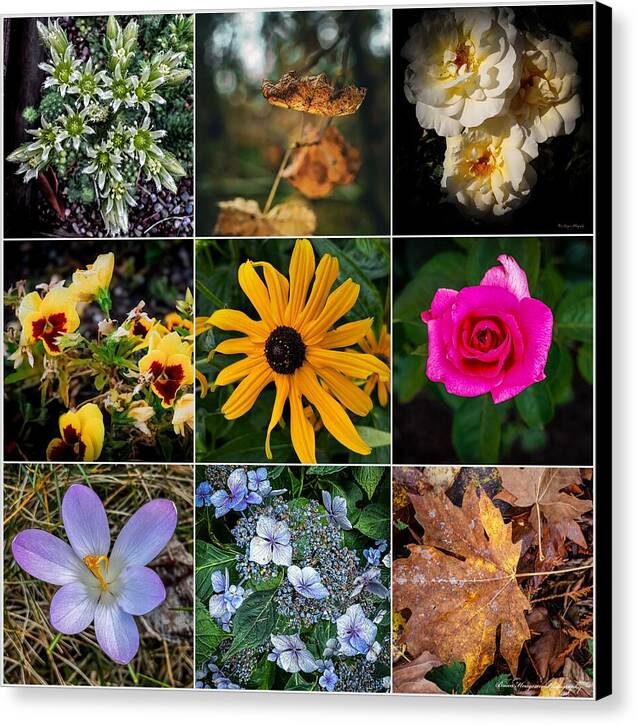 Flowers 5 - Canvas Print