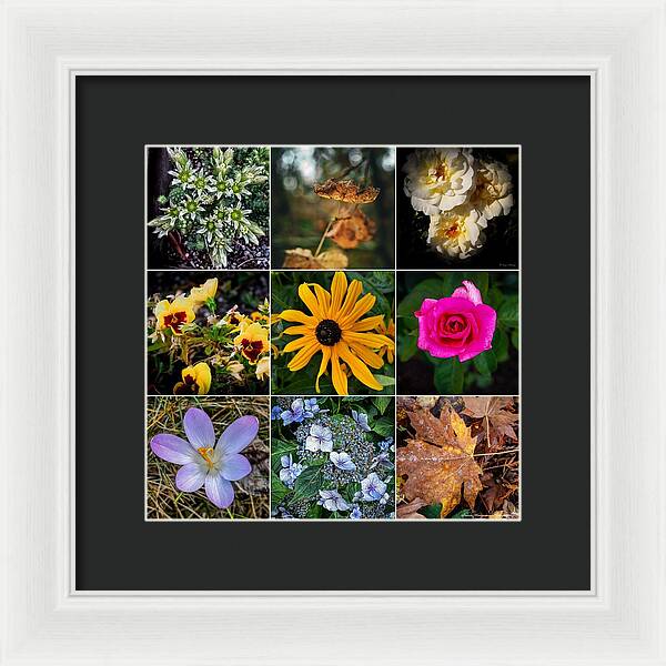 Flowers 5 - Framed Print