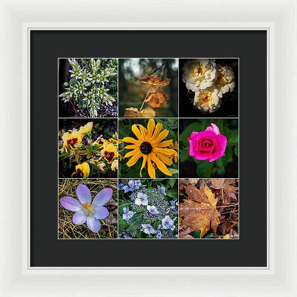 Flowers 5 - Framed Print