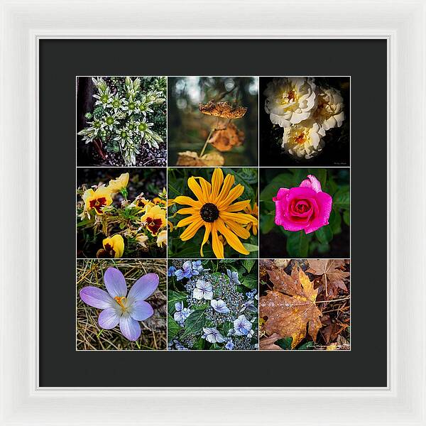 Flowers 5 - Framed Print