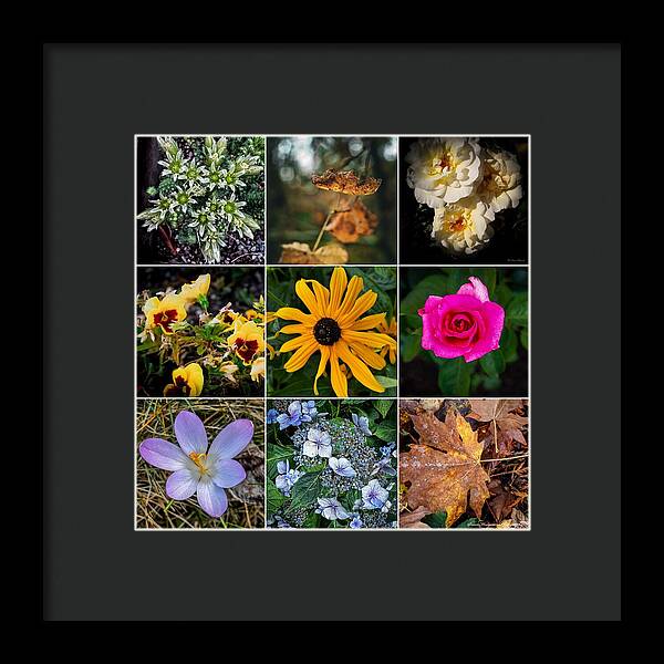 Flowers 5 - Framed Print