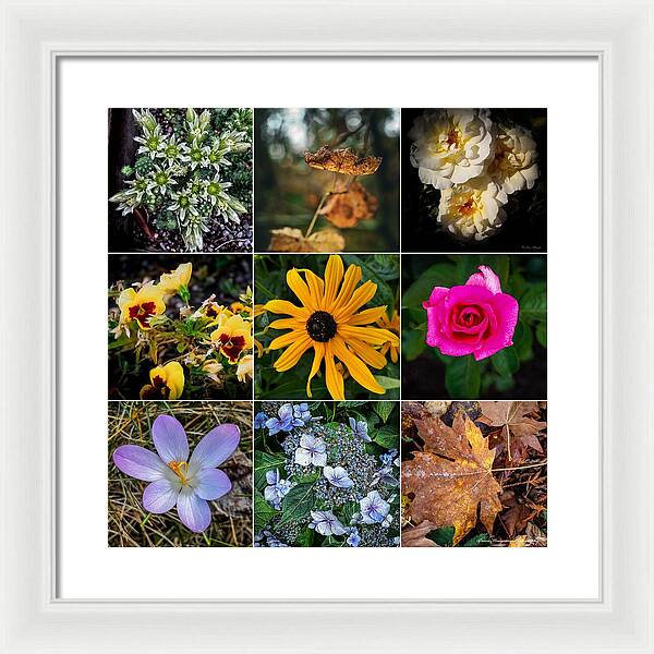 Flowers 5 - Framed Print