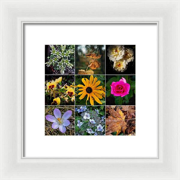 Flowers 5 - Framed Print
