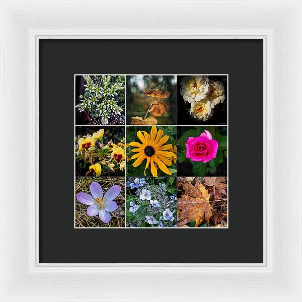 Flowers 5 - Framed Print