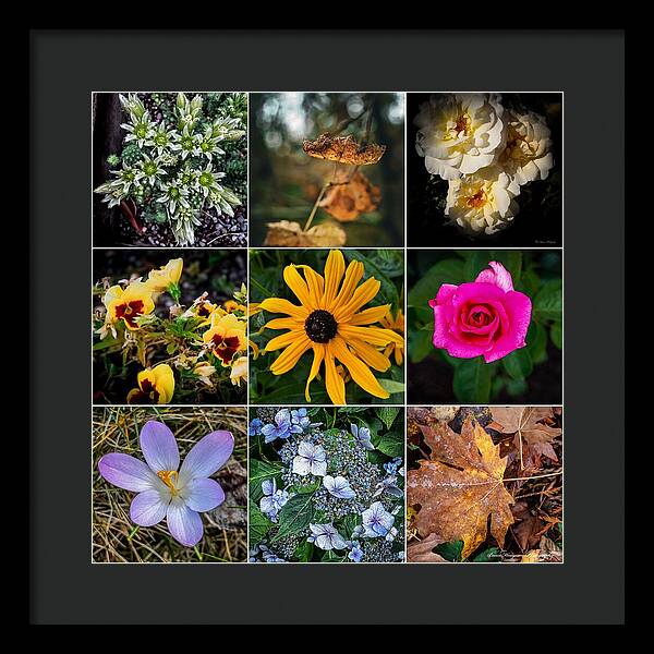 Flowers 5 - Framed Print
