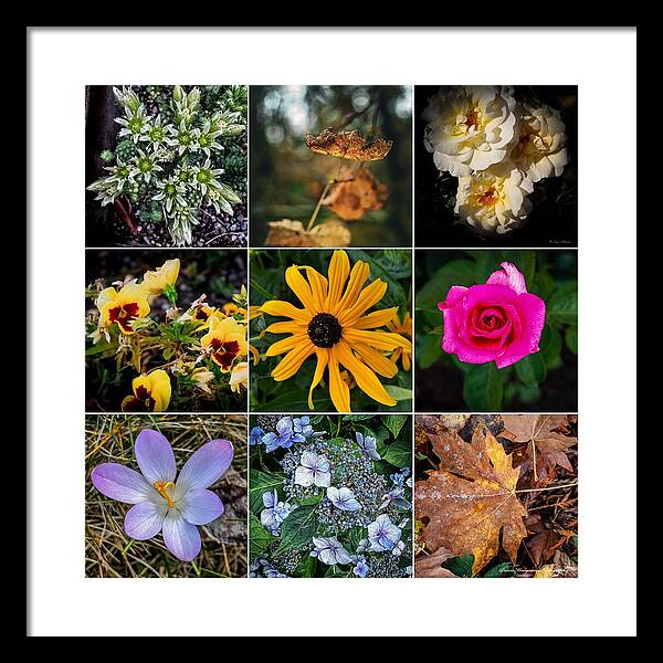Flowers 5 - Framed Print
