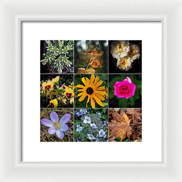 Flowers 5 - Framed Print