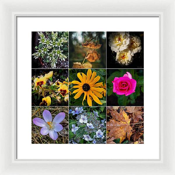 Flowers 5 - Framed Print
