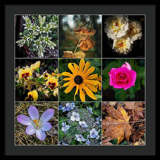 Flowers 5 - Framed Print
