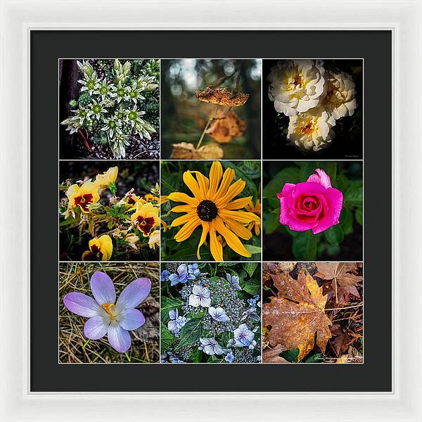 Flowers 5 - Framed Print