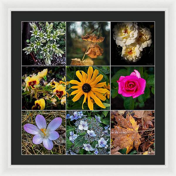Flowers 5 - Framed Print