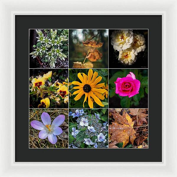 Flowers 5 - Framed Print