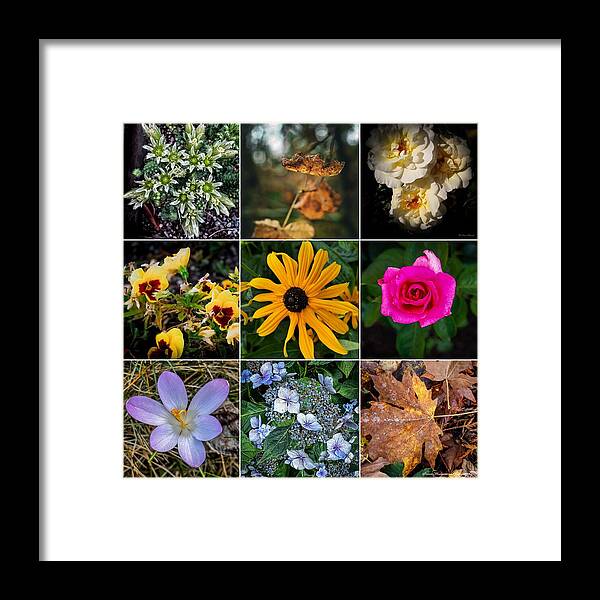 Flowers 5 - Framed Print