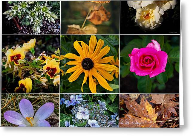 Flowers 5 - Greeting Card