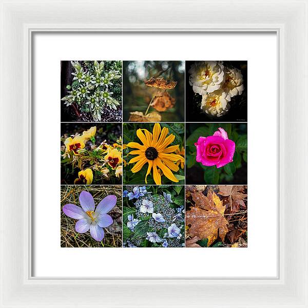 Flowers 5 - Framed Print
