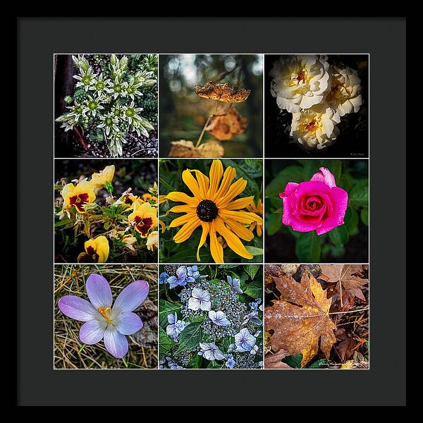 Flowers 5 - Framed Print