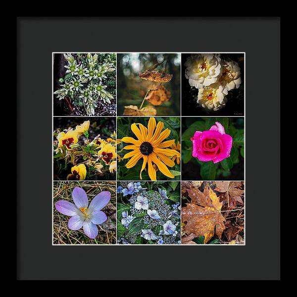 Flowers 5 - Framed Print