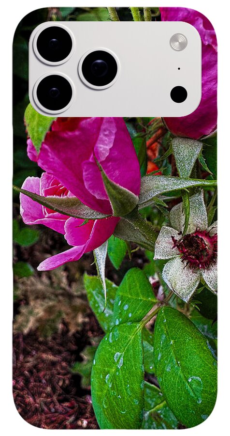 After the rain - Phone Case