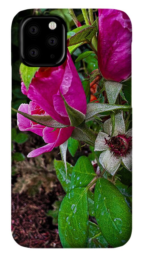 After the rain - Phone Case