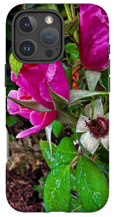 After the rain - Phone Case