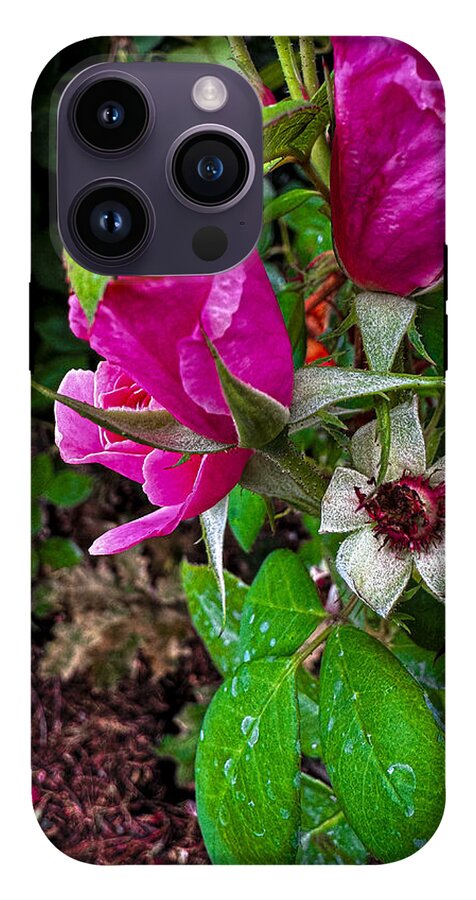 After the rain - Phone Case