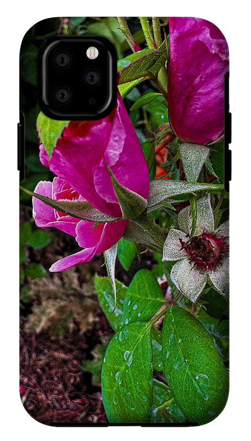 After the rain - Phone Case