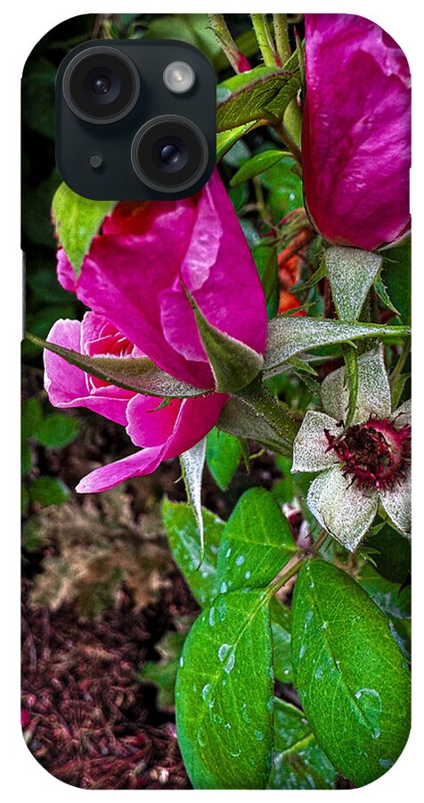 After the rain - Phone Case