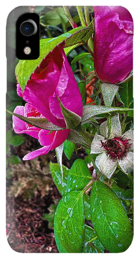 After the rain - Phone Case