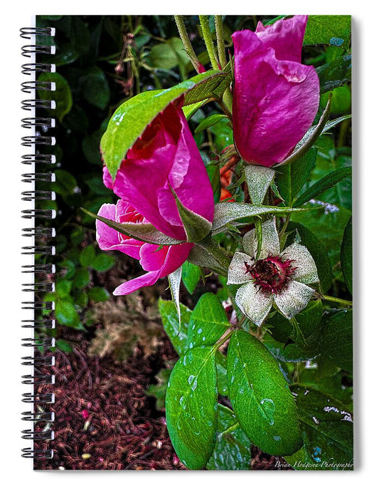 After the rain - Spiral Notebook