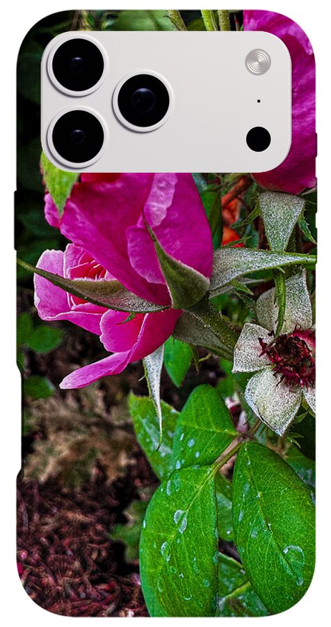 After the rain - Phone Case