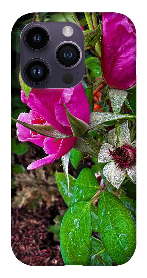 After the rain - Phone Case