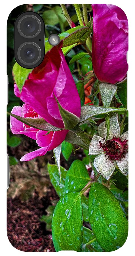 After the rain - Phone Case