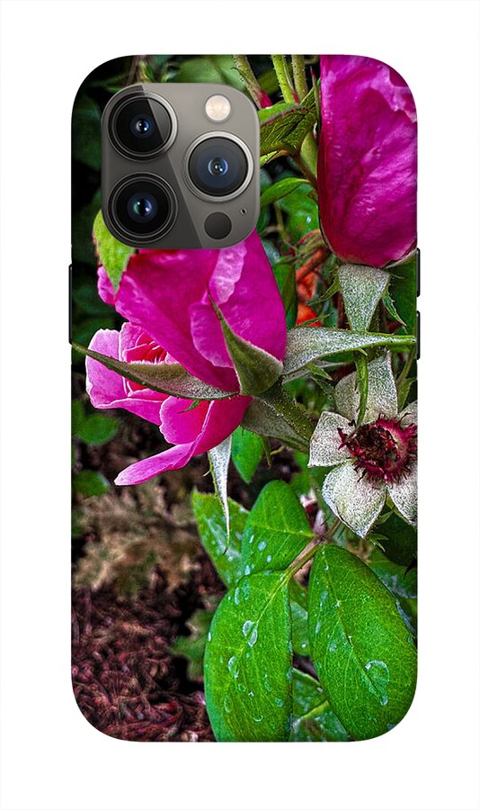 After the rain - Phone Case