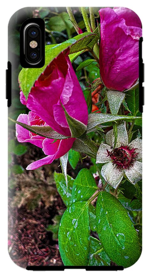 After the rain - Phone Case