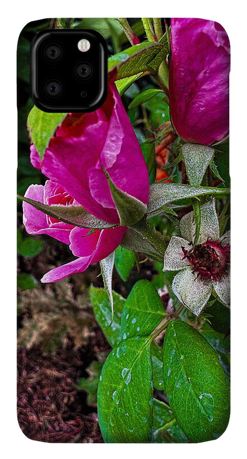 After the rain - Phone Case