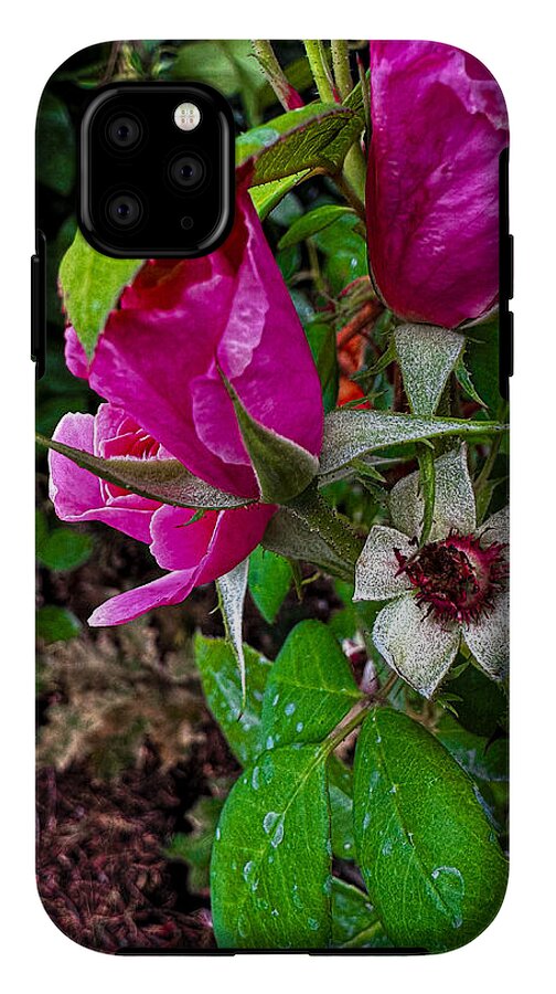 After the rain - Phone Case