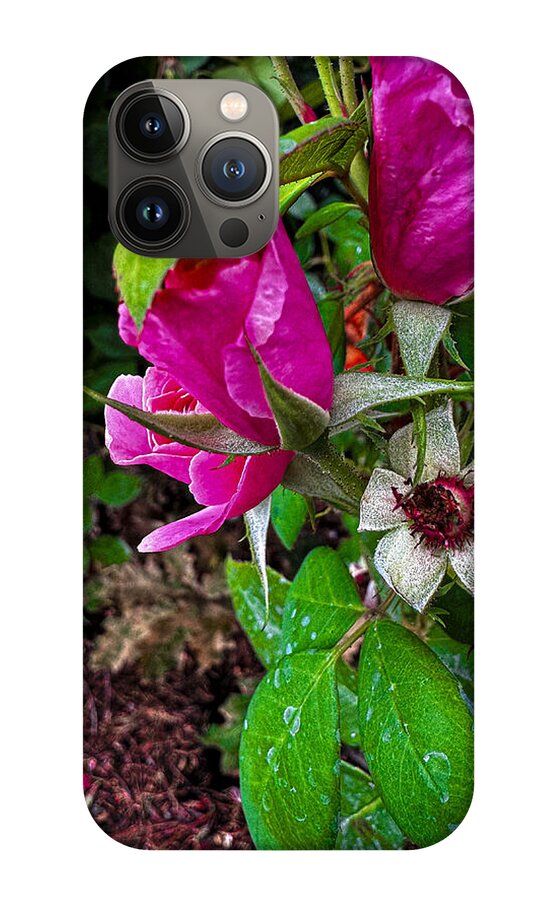 After the rain - Phone Case