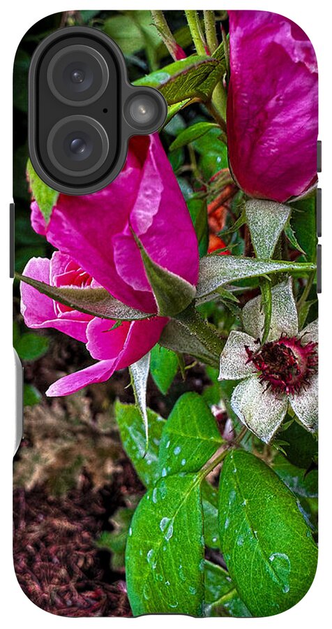 After the rain - Phone Case