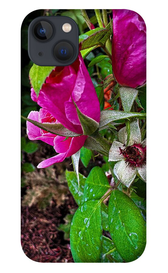 After the rain - Phone Case
