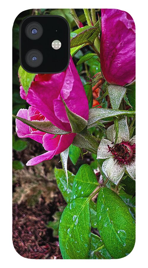 After the rain - Phone Case