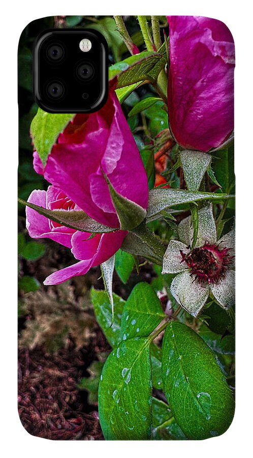 After the rain - Phone Case