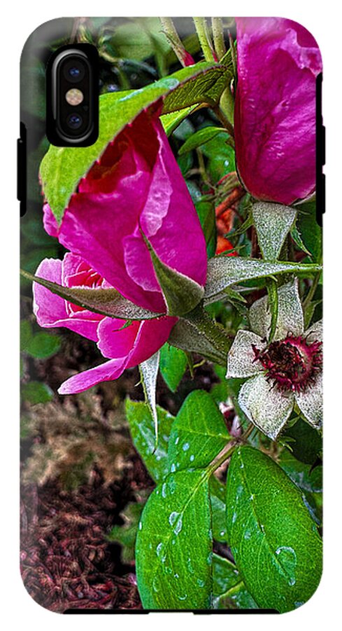 After the rain - Phone Case