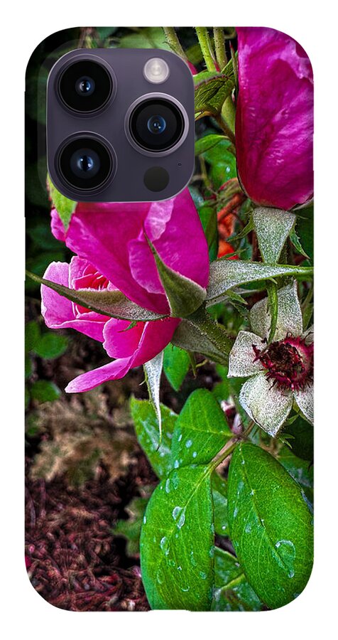 After the rain - Phone Case